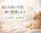 猫 専門 ペットを迎える前の相談承ります 終生飼養の視点で、犬猫飼養アドバイザーが一緒に整理します イメージ1