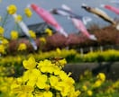 どんなお悩み愚痴も丁寧にききまます 自分は鬱を経験した時誰にもいえなかったから、吐き出すお手伝い イメージ1