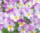 自分から見たら【大きな悩み事】に心から寄り添います 人から見たら大したことなくても悩んでることってありますよね… イメージ4