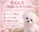 子犬の悩み相談のります 子犬の飼い方・しつけ相談、なんでもOK イメージ4