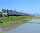 鉄道写真提供します 日本各地、四季折々の鉄道写真素材データを提供します! イメージ5