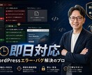 WordPressのエラー・バグを即日解消します Web伴走者として、その場しのぎではない論理的な根本解決を イメージ3