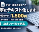 PDF・画像の文字を丁寧にテキスト化します 3,000文字まで1,500円！面倒な文字入力を代行 イメージ1