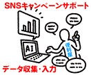 SNSのコメントデータを集計します プレゼントキャンペーンを行なっている企業へのサポート イメージ1