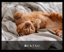 雑談♦お一人様歓迎♦サムネに顔出し動画あります ♦Allcategory♦ネガティブでもいいよ気持ちクリアへ イメージ7