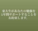 1年間東大生があなたの受験のサポートをします 勉強計画や勉強管理など1年間かけてサポートいたします。 イメージ1