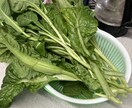 体にやさしい食事の悩み相談乗ります 節約しながら健康食の相談乗ります イメージ1