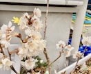 どんな悩みも相談OKお話聞きます 苛立ち、不安、後悔、寂しい、…お心に寄り添います イメージ4