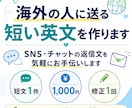 海外の人に送る短い英文を作ります SNSやチャットの返信文を気軽にお手伝いします イメージ1