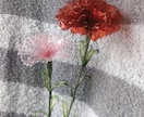 結婚式や卒業式用にお祝いのお花を１本〜お作りします 〜季節に合わせた枯れないお花アメリカンフラワーを毎月お届け〜 イメージ6