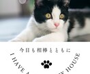 聞かせて❗️愛猫ちゃんのこと☘️アドバイスもします 猫歴10年以上❗️６匹の猫ちゃんと暮らし中✨お悩み相談⭐️ イメージ3