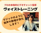 日本作曲家協会プロトレーナーがビデオチャットします あなたの発声や歌唱を少し聴いただけで発声器官の詳細が見えます イメージ1