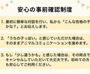 アニマルコミュニケーションを行っています ♪100頭以上の実績・お空の子もOK イメージ2