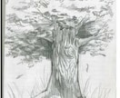 バウムテスト(描画診断)で精神状態改善をみます 実ある木を描いていただくだけでこころの状況を見ます イメージ1