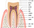 歯科業界未経験の方、分からない事教えます 基本的な事が分からない！そんなあなたへ イメージ1