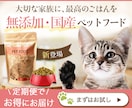 クリックされるWEB画像を作成します あなたの想いに“伝わる”デザインで力になります！ イメージ10