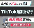 SNSのプロ集団がTikTok集客を支援します フォロワー獲得から集客まで、TikTok運用丸投げOK！ イメージ1