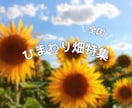 インスタグラム投稿用、女性向けサムネイルつくります わかりやすさ抜群の美しいサムネで乙女心をつかみましょう！ イメージ2