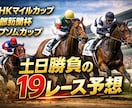 土日中央競馬で資産運用！競馬予想します 土日の特別戦から重賞レース！１９レース予想！ イメージ1