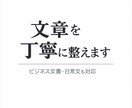 文章を丁寧で伝わる形に整えますます ビジネス文書から日常文まで幅広く対応します イメージ1