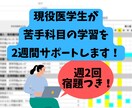 現役医学生が苦手科目の学習を２週間サポートします 定期テスト対策やお試し用にオススメ イメージ1