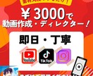 即日.丁寧な編集をします 早くて、丁寧、お求めやすい価格で編集させていただきます! イメージ1