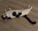 絶対に別れを切り出されない方法をお伝えします 今までの実体験に基づき、お客様に合わせた方法です イメージ1
