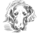 愛犬をペン画風に！デジタルイラスト制作いたします リアルタッチ！ペンで描いたみたいなスケッチイラスト！ イメージ3