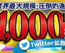 Twitterツイート1000RT～拡散します インプ爆上げ いいね1000以上↑SNS 拡散 宣伝 集客 イメージ1