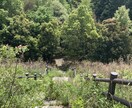 真剣に皆様の悩みに寄り添います 誰にも言えない悩みは絶対に誰にでもあります。 イメージ4