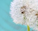 写真の素材提供･合成を行ってます 最大限丁寧なサービスを心がけております！ イメージ9