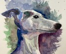 大切な愛犬の似顔絵を描きます 水彩画で色鮮やかな似顔絵を描きます！ イメージ3