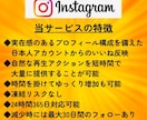 インスタに日本人フォロワーを100人拡散します 先着20名までの限定価格/補填あり/初回購入特典あり イメージ6
