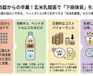 正露丸15錠の僕が翌日手放した！玄米乳酸菌講座ます 毎日１５錠飲んでいた薬を卒業！一番失敗しない黄金レシピを伝授 イメージ3