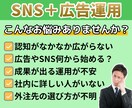 現役マーケターがSNS＋広告運用で集客拡大します SNS運用で賄えないターゲットを広告併用で全方位カバー！！ イメージ2