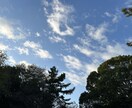 パーキンソン病当事者が寄り添います 無理に元気じゃなくていい、気持ちにそっと寄り添います イメージ3