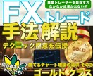 FX専業トレーダーの極意・手堅く勝つ手法伝授します ◉難しいスキルは必要なし◉これでダメなら諦めてください ③ イメージ1