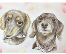 色鉛筆似顔絵肖像画描きます 世界に１つだけの愛犬、愛猫の似顔絵を原画でお渡します。 イメージ1
