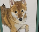あなたの可愛いペットの似顔絵イラストを作成します 世界に一つだけの可愛い我が子のイラストをどうぞ イメージ1