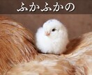 少しだけお話ししませんか？５分でもお聞きします 昔からの知り合いのようにゆるい感じで何でも話してください イメージ5