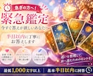 緊急鑑定！半日以内に答えを届けます 今どうすればいい？の迷いを長引かせない、緊急リーディング。 イメージ1