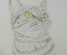 ペット肖像画を描きます ペットが愛しくてたまらない方へ。最低価格で最高の思い出を♩ イメージ5