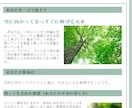 エクセルの占いツールをカスタマイズして提供します 流派や鑑定スタイルに合わせて命式/鑑定書をカスタマイズします イメージ8