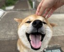 なんでもポジティブに話聞きます 可愛い声と評判の女がポジティブに肯定的に話を聞きます！！ イメージ1