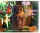 あなたの【気になること】を透視します ★先祖は沖縄のユタ家系★霊感ですべて見ていきます✨ イメージ3