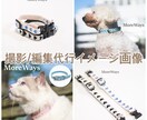 カメラマンによる商品撮影/画像の編集代行を行います 商品撮影/編集代行 1商品(1商品10枚まで)　16000円 イメージ2