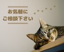 民泊や一棟貸し参入前の旅行需要調査を代行します 不動産オーナー・投資家・宿泊事業検討者向けのマーケット調査！ イメージ8