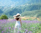 算命学鑑定ヒーリング〓貴方の心の構造分析します 悩み問題に寄り添い貴方のエネルギーの流し方☆詰まり解消最適化 イメージ1