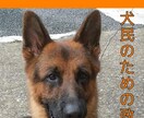 愛犬の成長過程のお悩みアドバイスします 初めて犬を家族としてお迎えされた方。☆★プロがサポート☆★ イメージ6