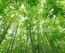 現役保健師が精神疾患、発達障害等の相談に乗ります 生きづらさ、困りごと、もやもやなど、専門職が相談に乗ります イメージ1